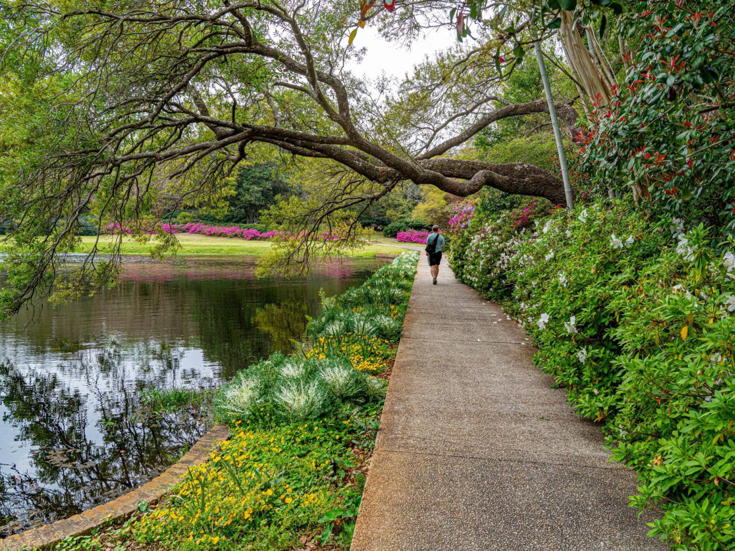 Bellingrath Gardens in Mobile, Alabama