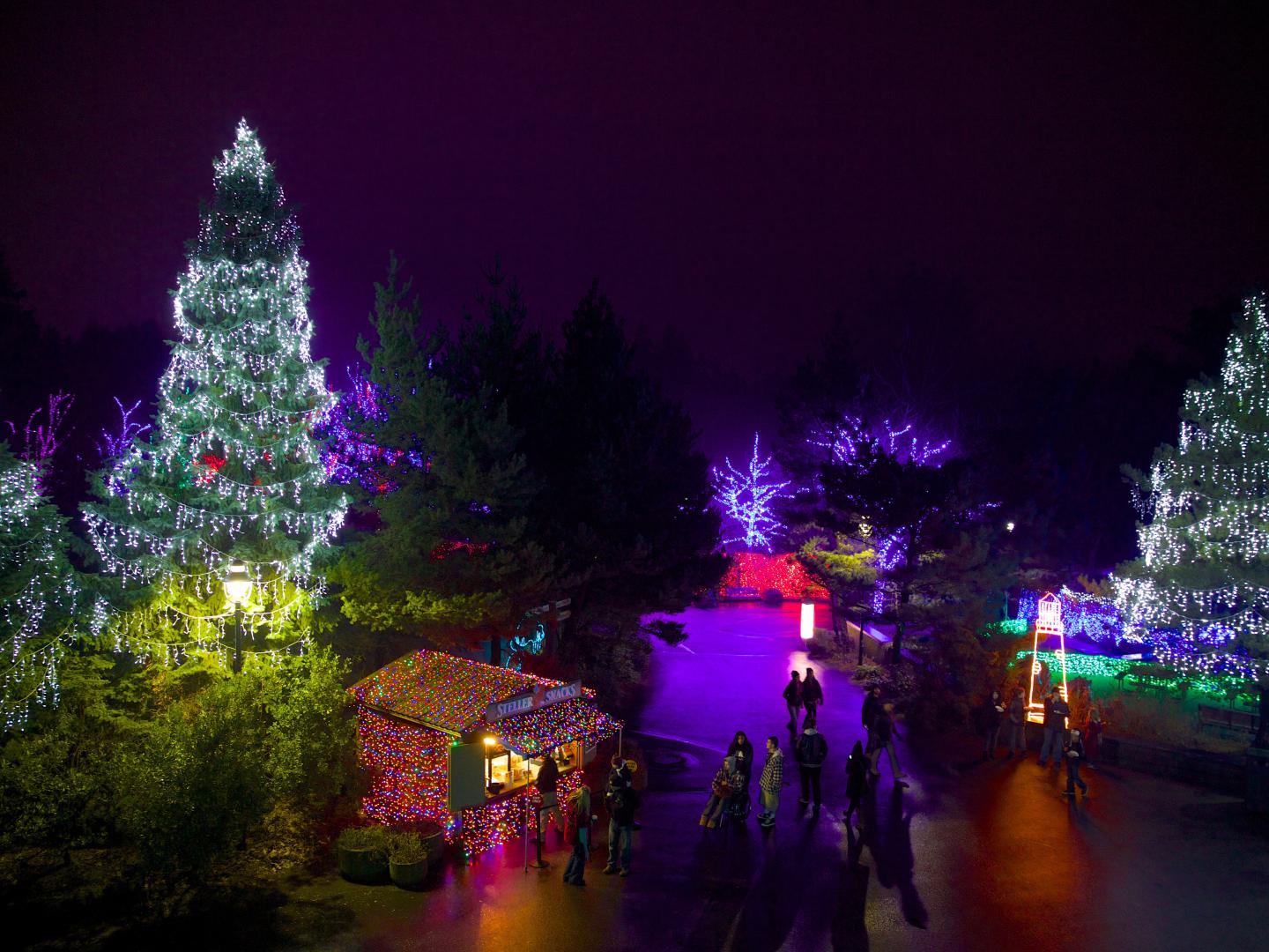 Portland Winter Light Festival in Portland, Oregon