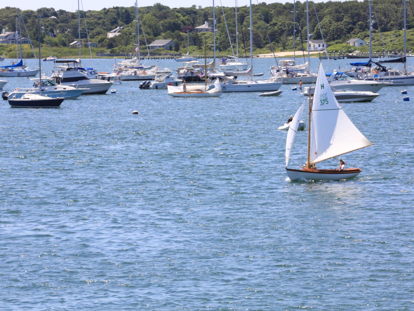 Angler beim jährlichen Fishing Derby auf Martha’s Vineyard