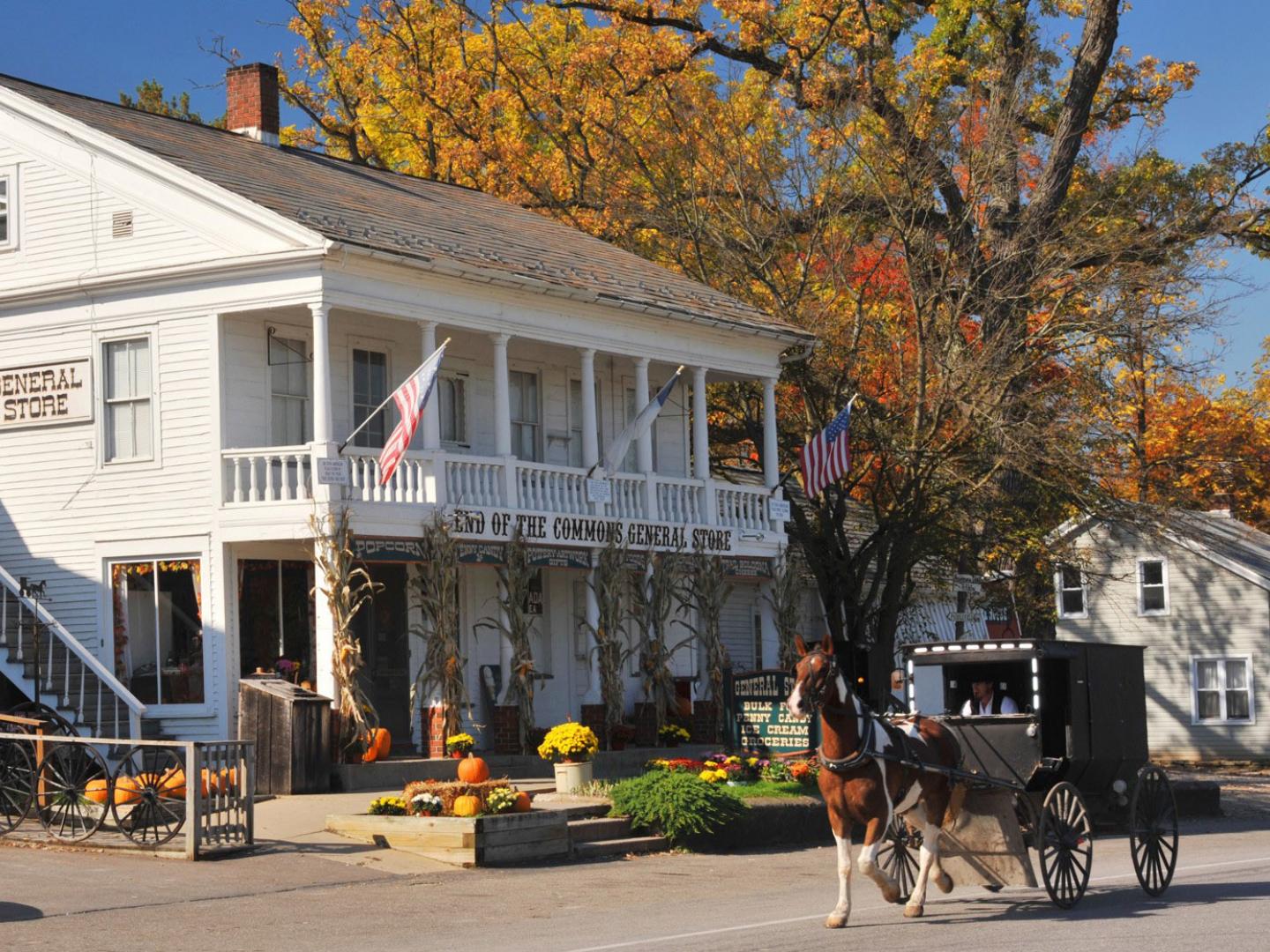A horse-and-buggy traveling through Ohio’s Amish Country