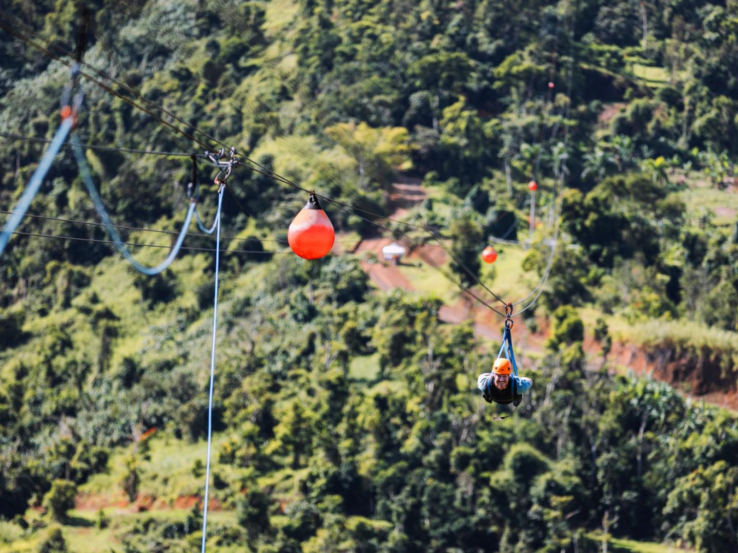 푸에르토리코 토로 베르데 네이처 어드벤처 파크에서 몬스터 집라인을 타고 날아오르기