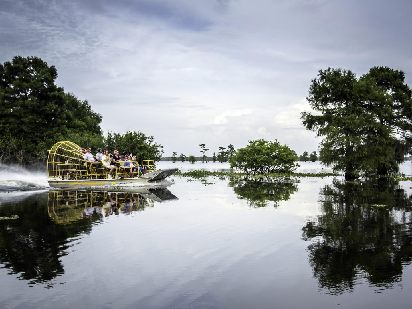 A rip-roaring airboat tour through the basin at Atchafalaya National Heritage Area