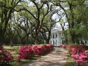 The historic Bragg-Mitchell Mansion in Mobile The historic Bragg-Mitchell Mansion in Mobile