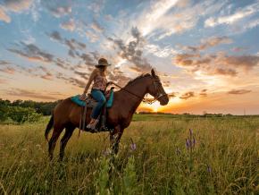 Randonnée à cheval dans le Circle S Ranch Randonnée à cheval dans le Circle S Ranch
