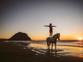 Practicing horse yoga on Morro Bay in California Practicing horse yoga on Morro Bay in California