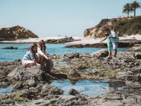Observation de la vie marine dans les cuvettes de marée des plages de la région Observation de la vie marine dans les cuvettes de marée des plages de la région