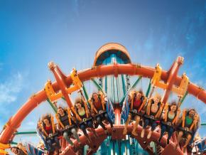 The thrilling Falcon’s Fury drop tower at Busch Gardens Tampa Bay The thrilling Falcon’s Fury drop tower at Busch Gardens Tampa Bay