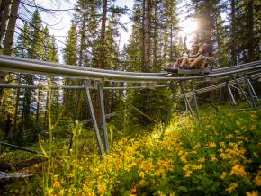 Riding the Breathtaker Alpine Coaster through the woods Riding the Breathtaker Alpine Coaster through the woods
