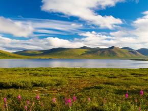 五彩缤纷的夏日山景 五彩缤纷的夏日山景