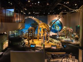 参观佩洛特自然科学博物馆的大型展览 参观佩洛特自然科学博物馆的大型展览
