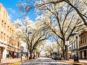 El centro de York brilla con hermosas flores en primavera