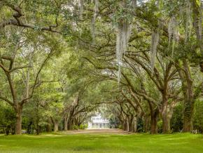 Promenade sous le feuillage des arbres à la Legare Waring House à Charleston, Caroline du Sud Promenade sous le feuillage des arbres à la Legare Waring House à Charleston, Caroline du Sud
