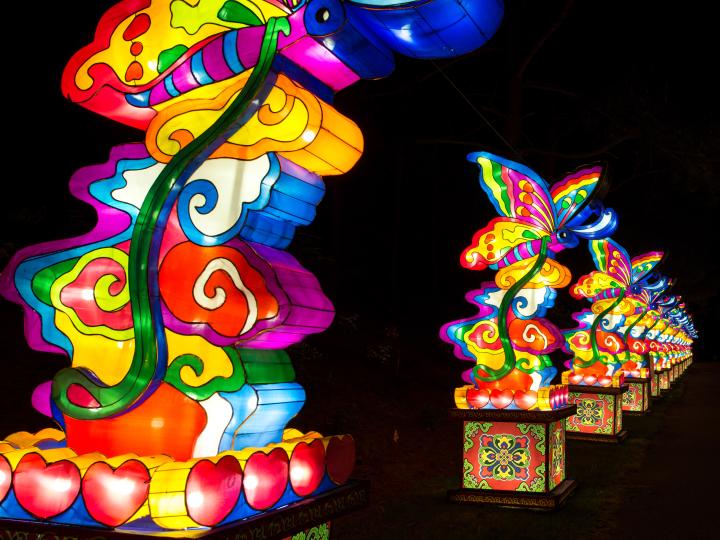 Colorful lanterns all in a row at the Chinese Lantern Festival