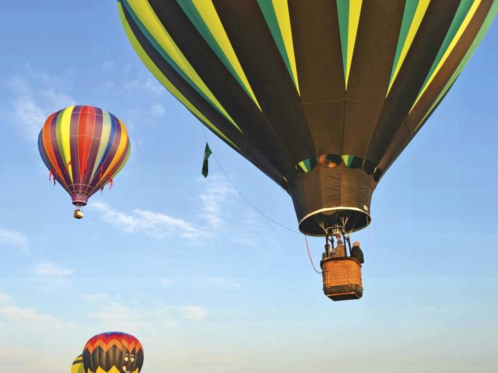Soaring high at the Hot Air Balloon Festival