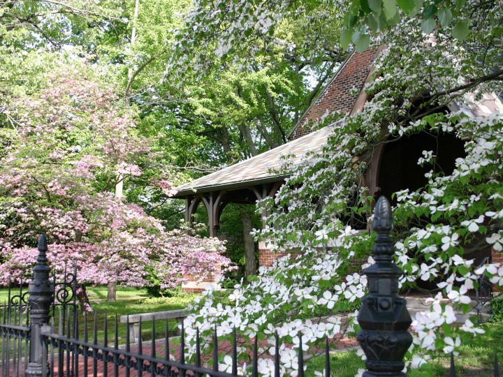 Dogwood Trail Celebration’s pretty blooms