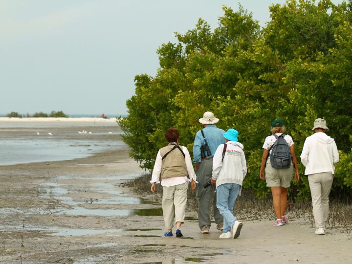Vogelbegeisterte Besucher des Southwest Florida Festival of Birds in der Rookery Bay