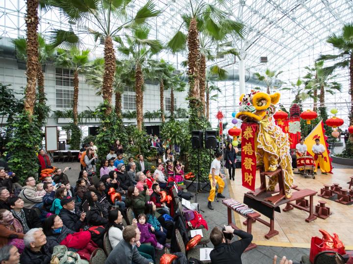 Lantern Festival Celebration for Chinese New Year at Navy Peir