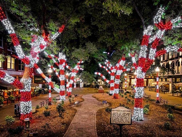 Holiday lights illuminating Knoxville, Tennessee