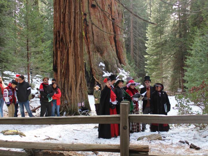 Des choristes devant le séquoia géant General Sherman dans le Sequoia National Park lors de l’événement hivernal Trek to the Nation’s Christmas Tree en Californie