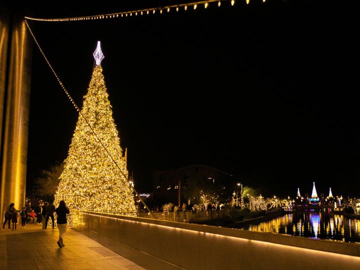 Tree lighting during Scottsdazzle Holiday Extravaganza in Scottsdale, Arizona