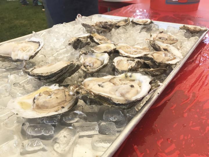 플로리다주 포트 피어스에서 껍질을 반만 깐 굴이 서빙되는 모습