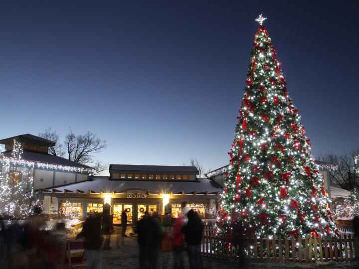 Décorations de Noël au PNC Festival of Lights du Cincinnati Zoo & Botanical Garden, dans l’Ohio