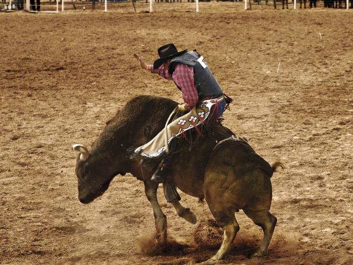 A bull rider at the Adirondack Stampede Rodeo in Glens Falls, New York