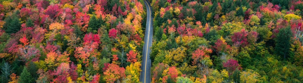 Conducir por un arcoíris de colores otoñales en White Mountains de Nuevo Hampshire