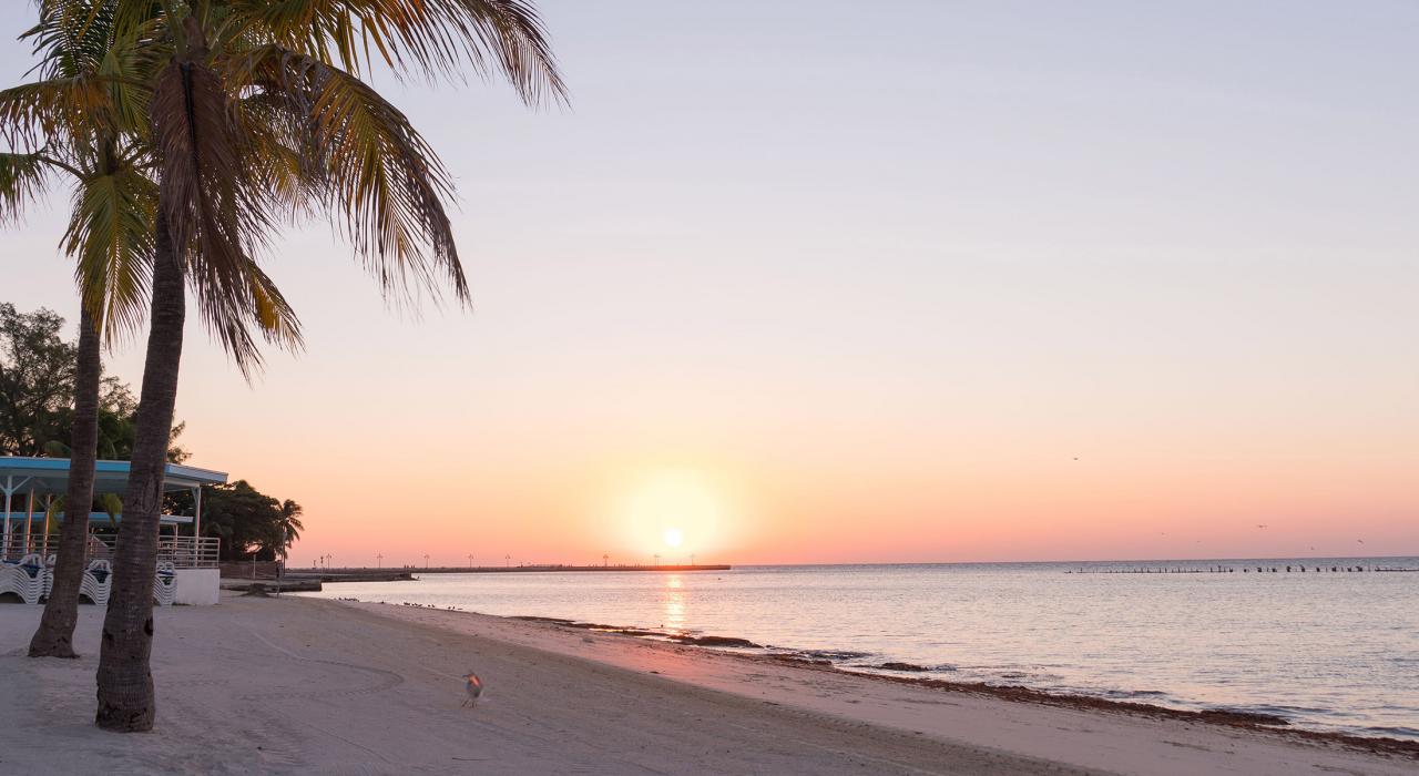 Sandy beach and calm ocean views in Key West, Florida