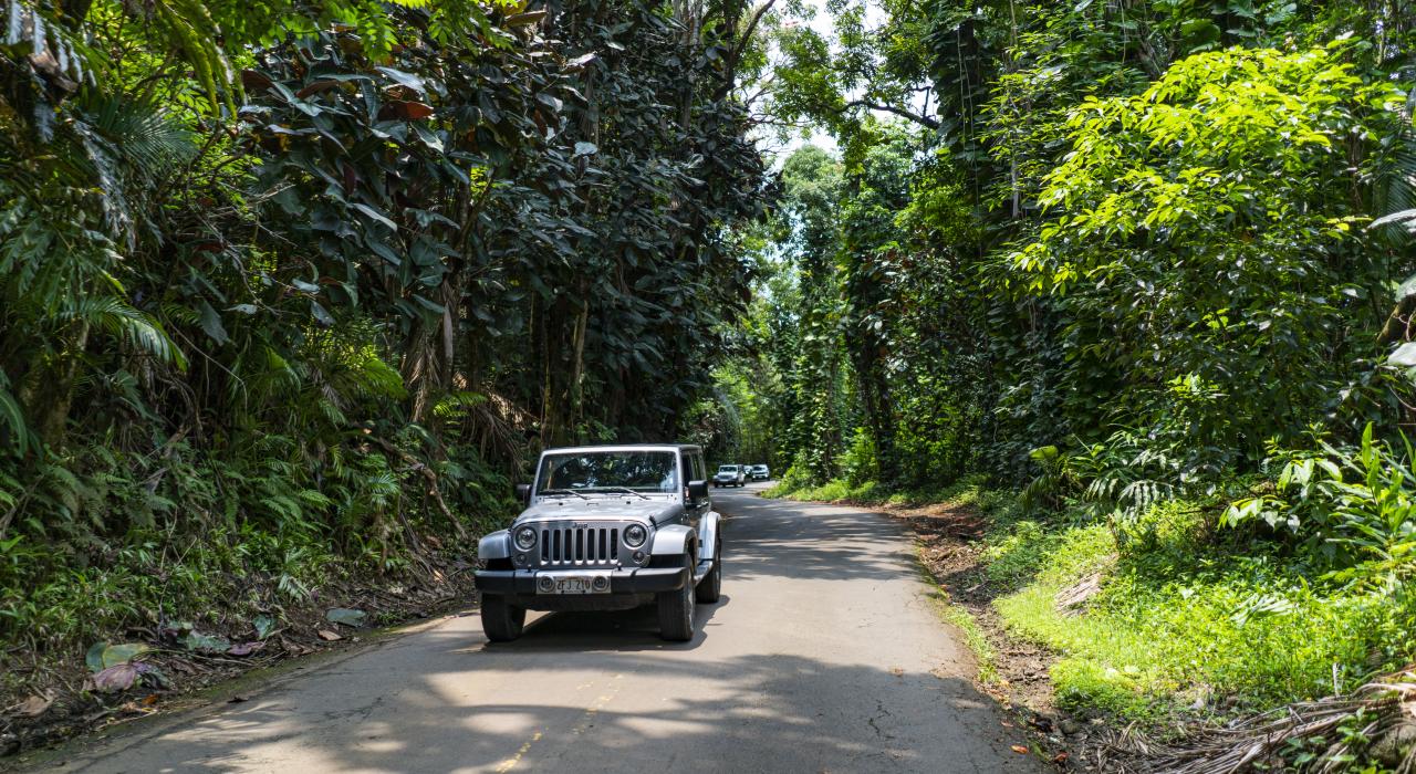 A Jeep is an ideal vehicle for a road trip through Hawaiʻi's lush landscapes