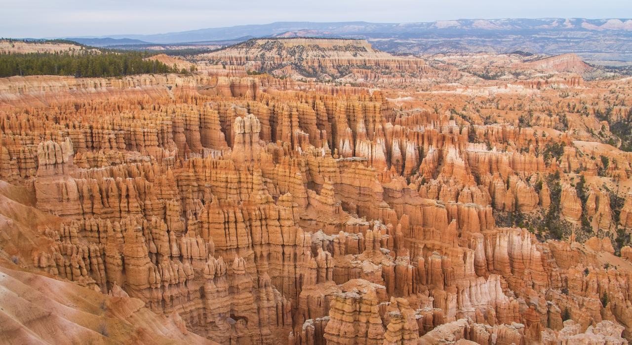 The hoodoos of Bryce Canyon, Utah