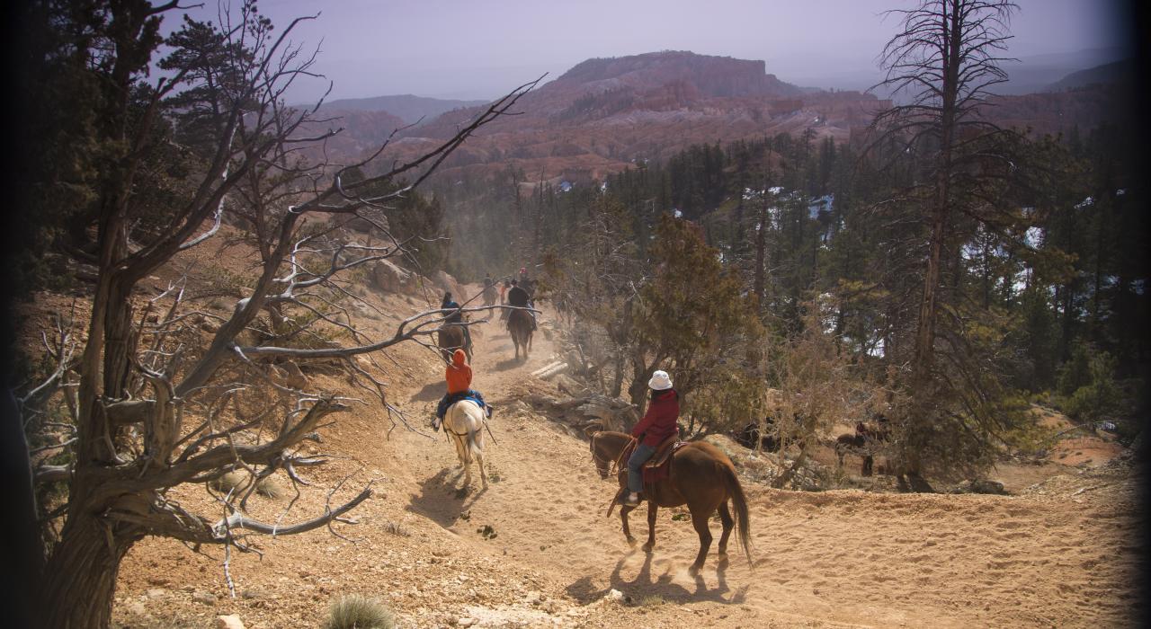Reiten im Bryce Canyon-Nationalpark, Utah