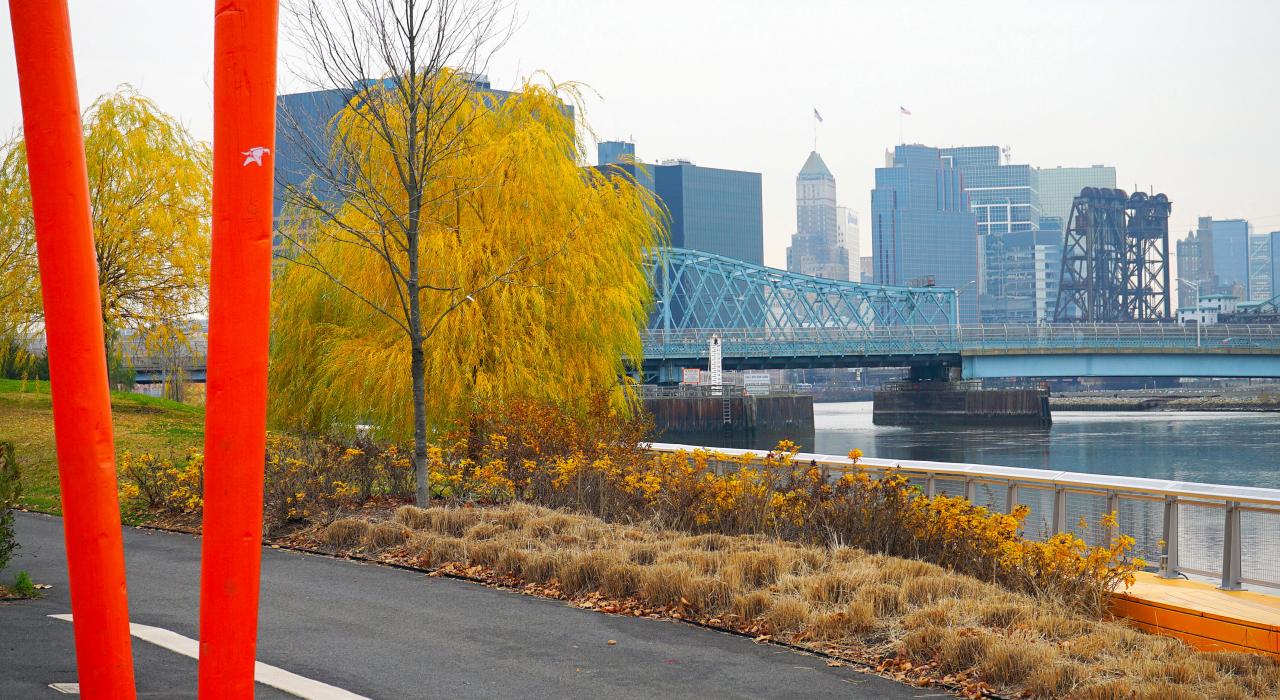 Fall foliage along the riverfront