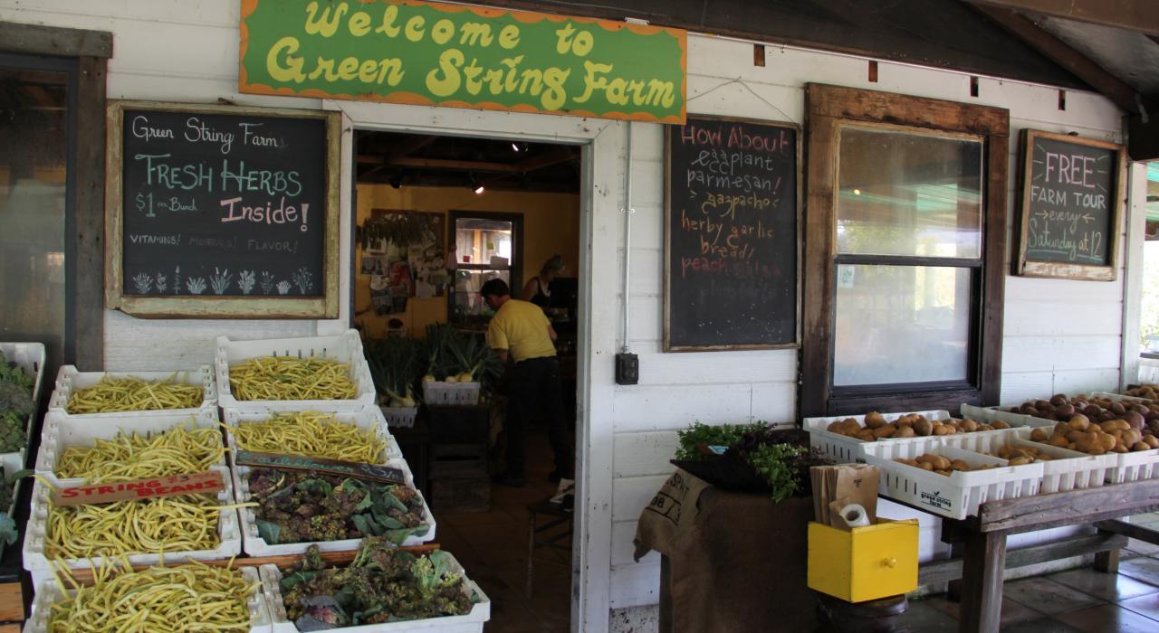 Fresh produce on display at the Green String Farm Store in Petaluma