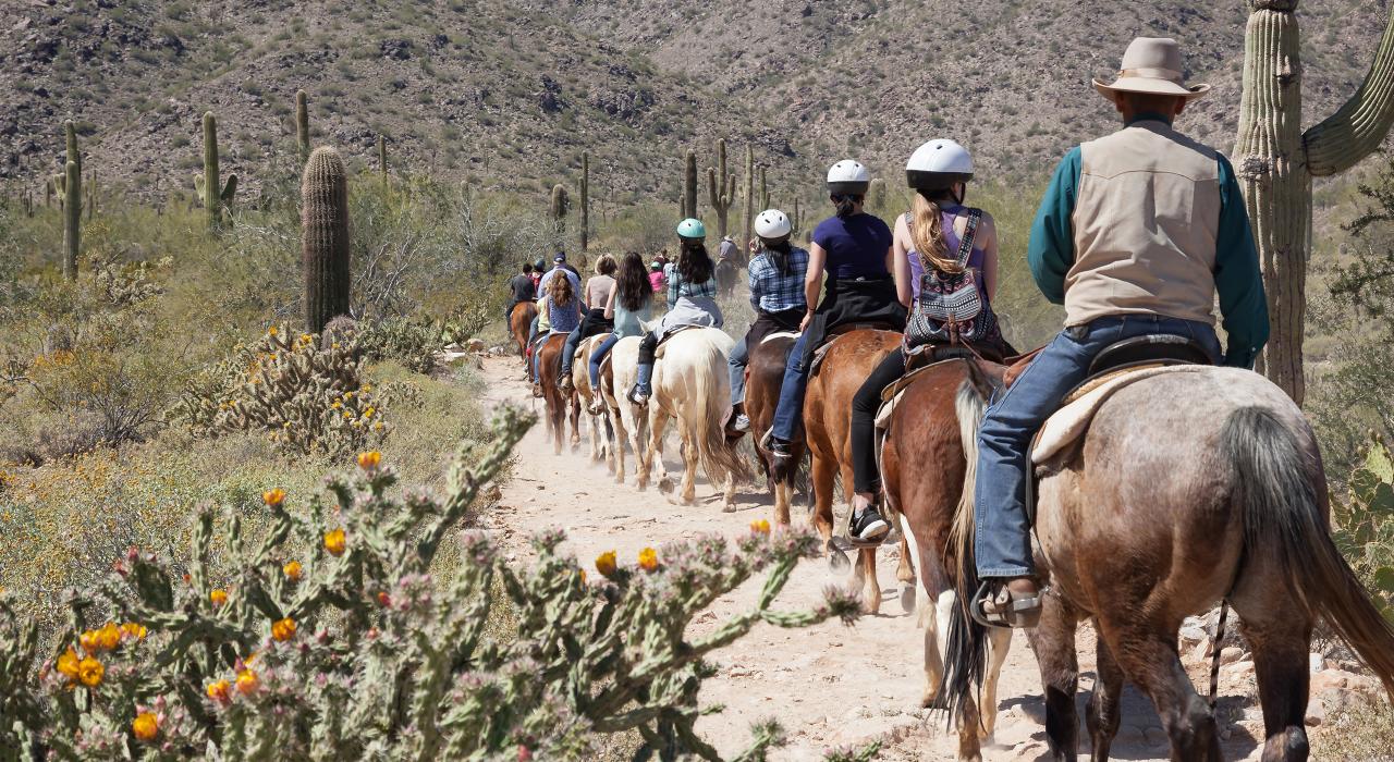 말에 올라 소노라 사막을 횡단해보기