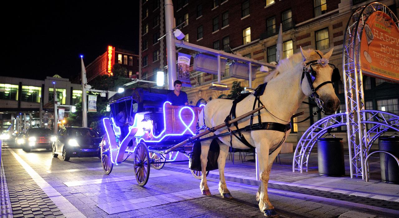 A modern take on a classic horse drawn carriage ride