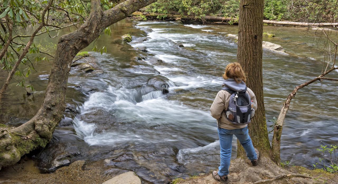 Hiking along Abrams Creek In Cades Cove