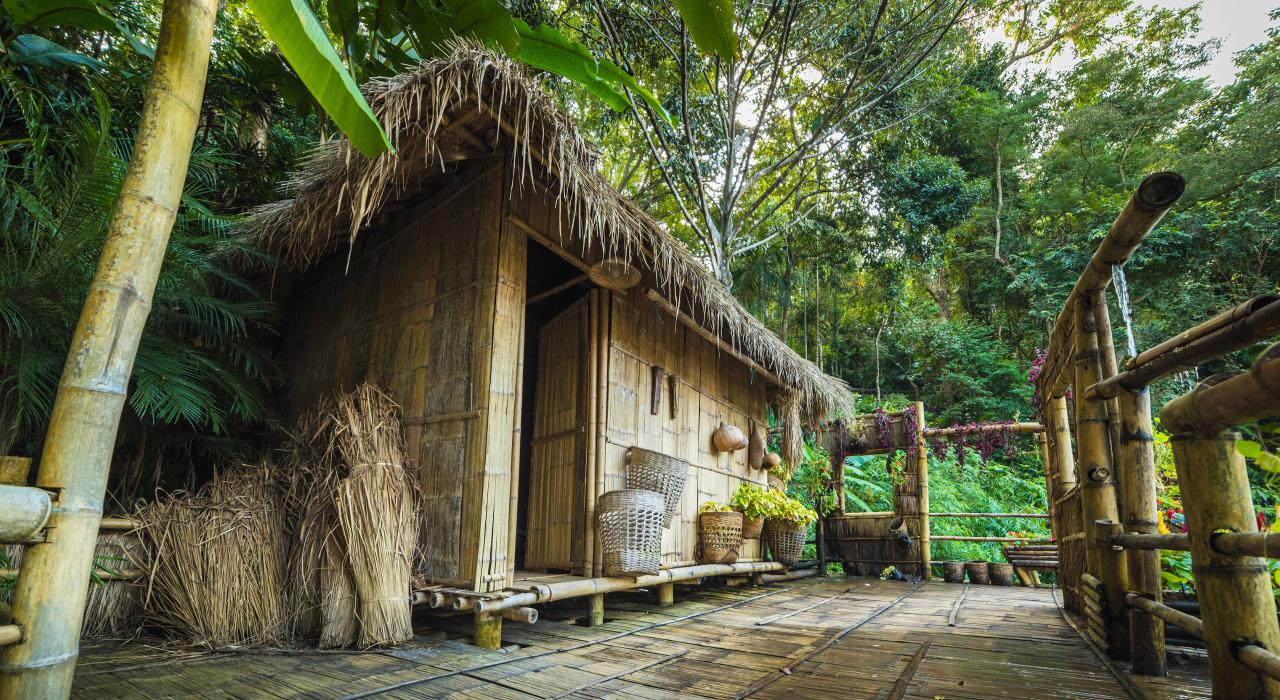A remote cabin nestled in the forested hills of the Great Smoky Mountains