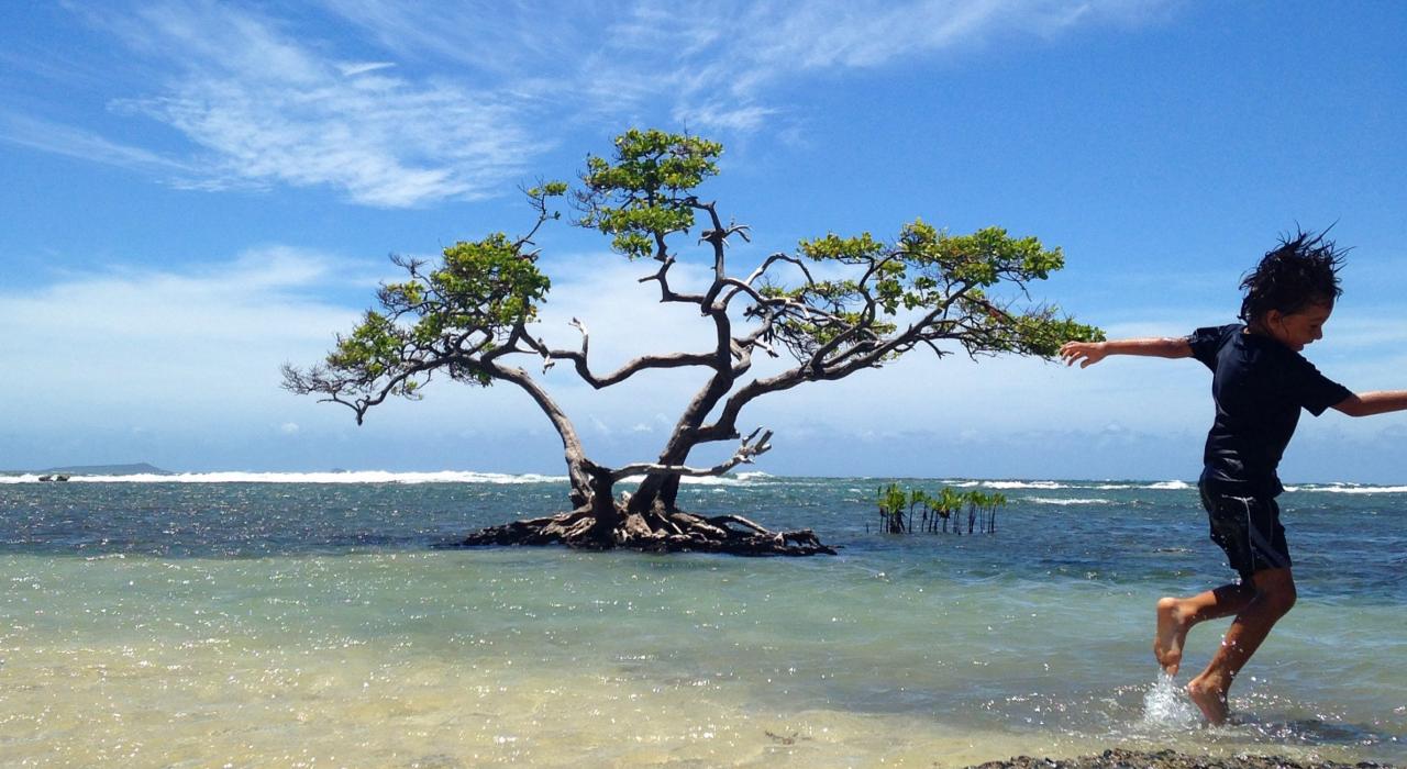폰세의 아름다운 해변에서 놀기