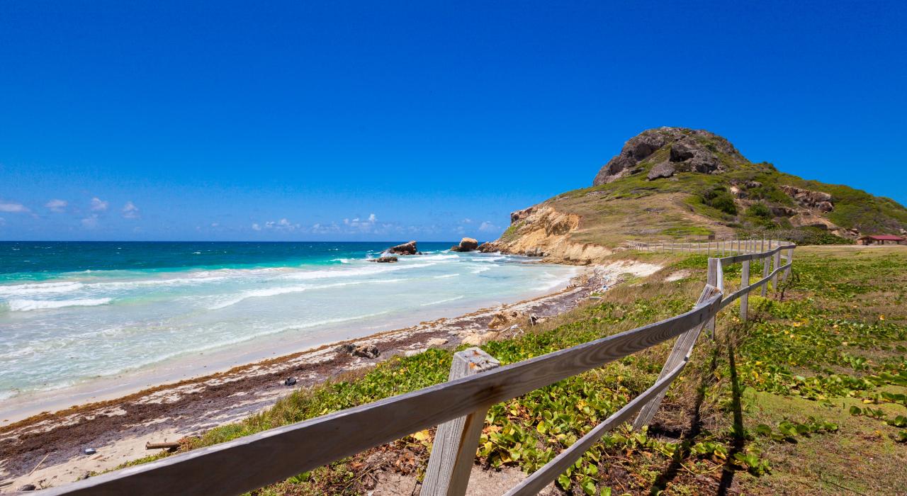 자연 보호구역의 해변 탐방하기