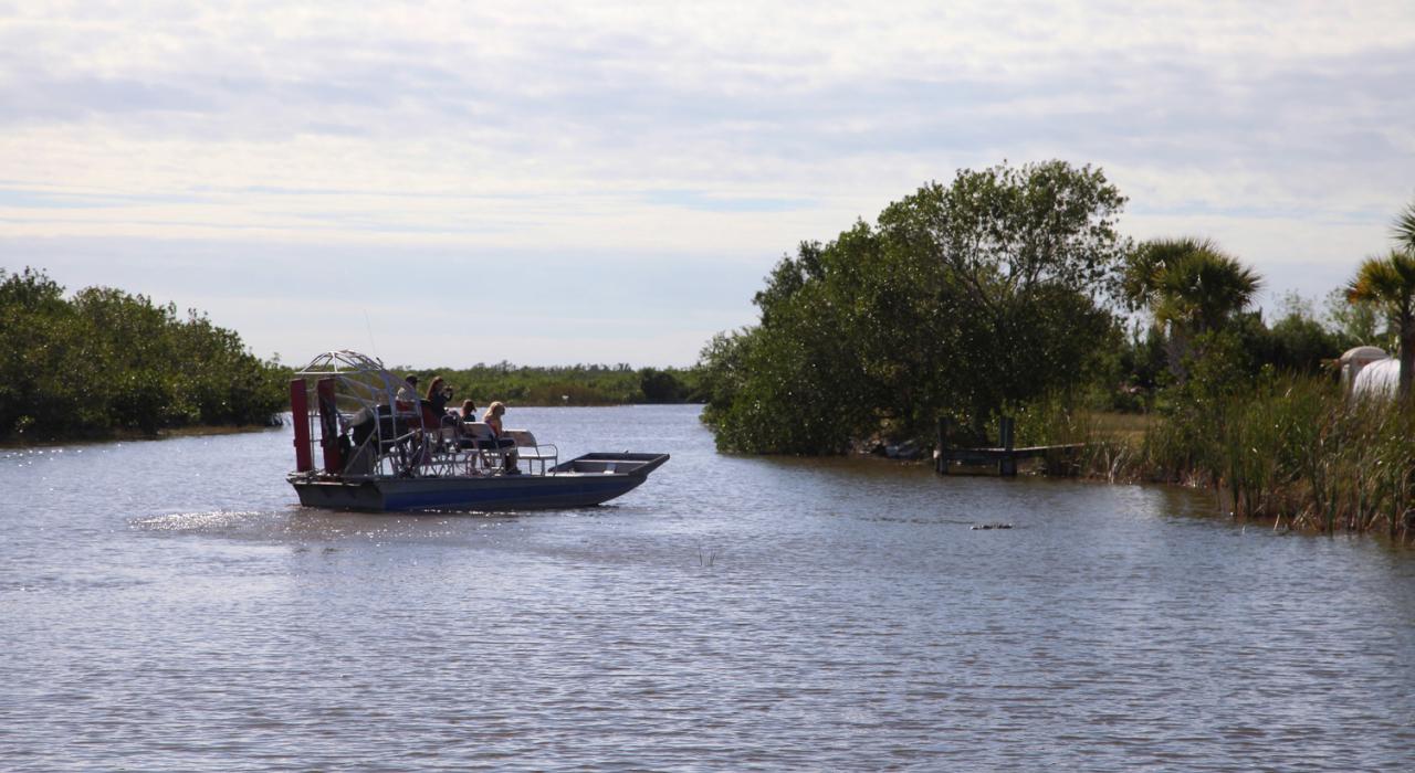Airboat Tour in the Everglades near Naples