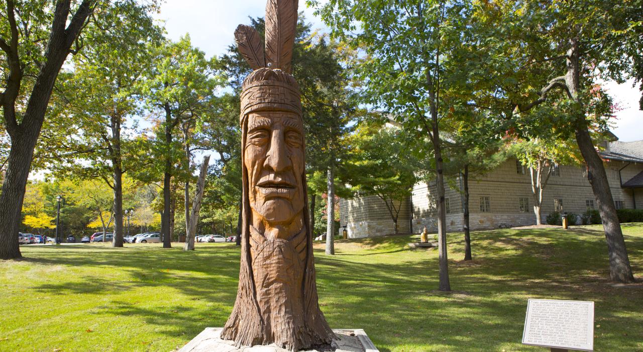 Tree carving at Starved Rock State Park in Illinois
