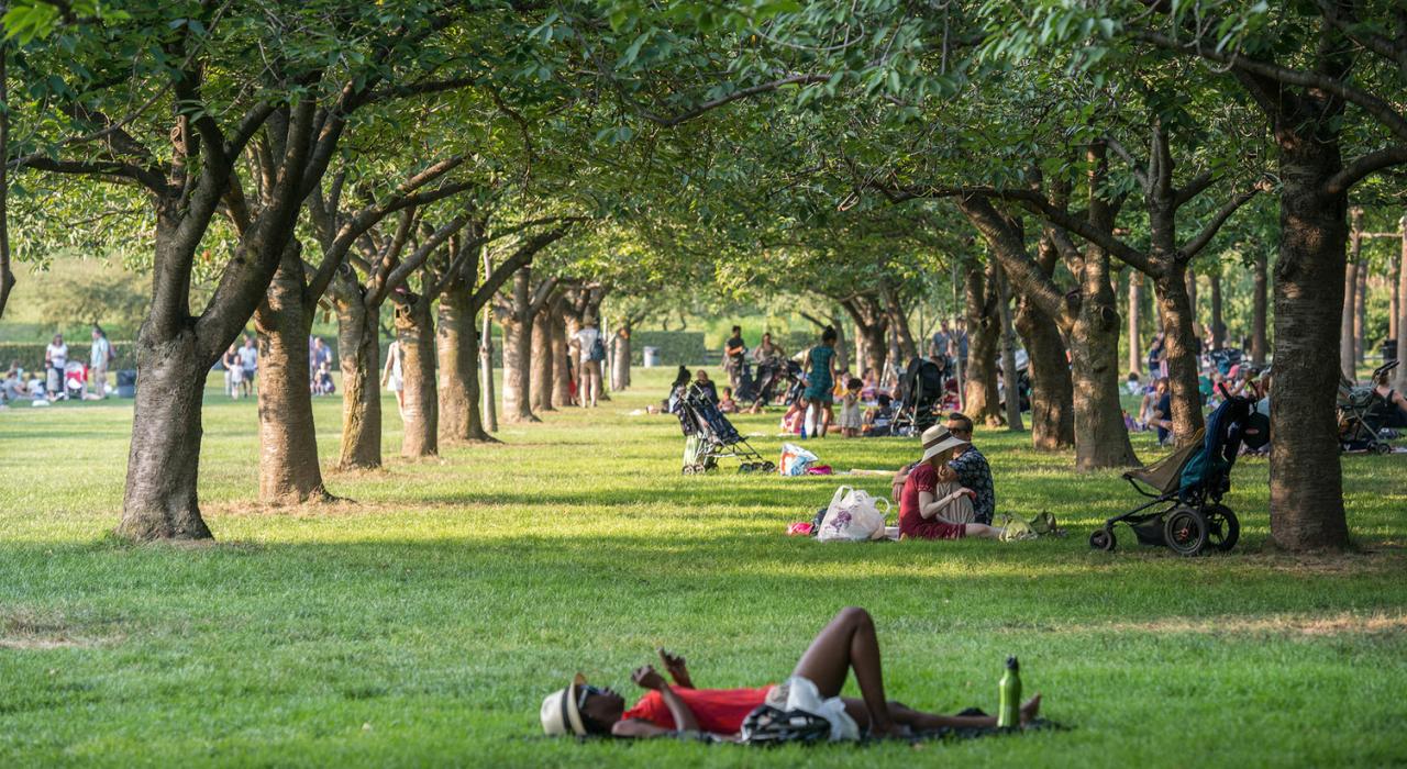 Descanso à sombra das árvores do Brooklyn Botanic Garden