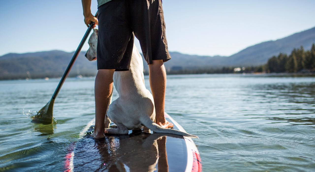 Stand-up paddleboard for two