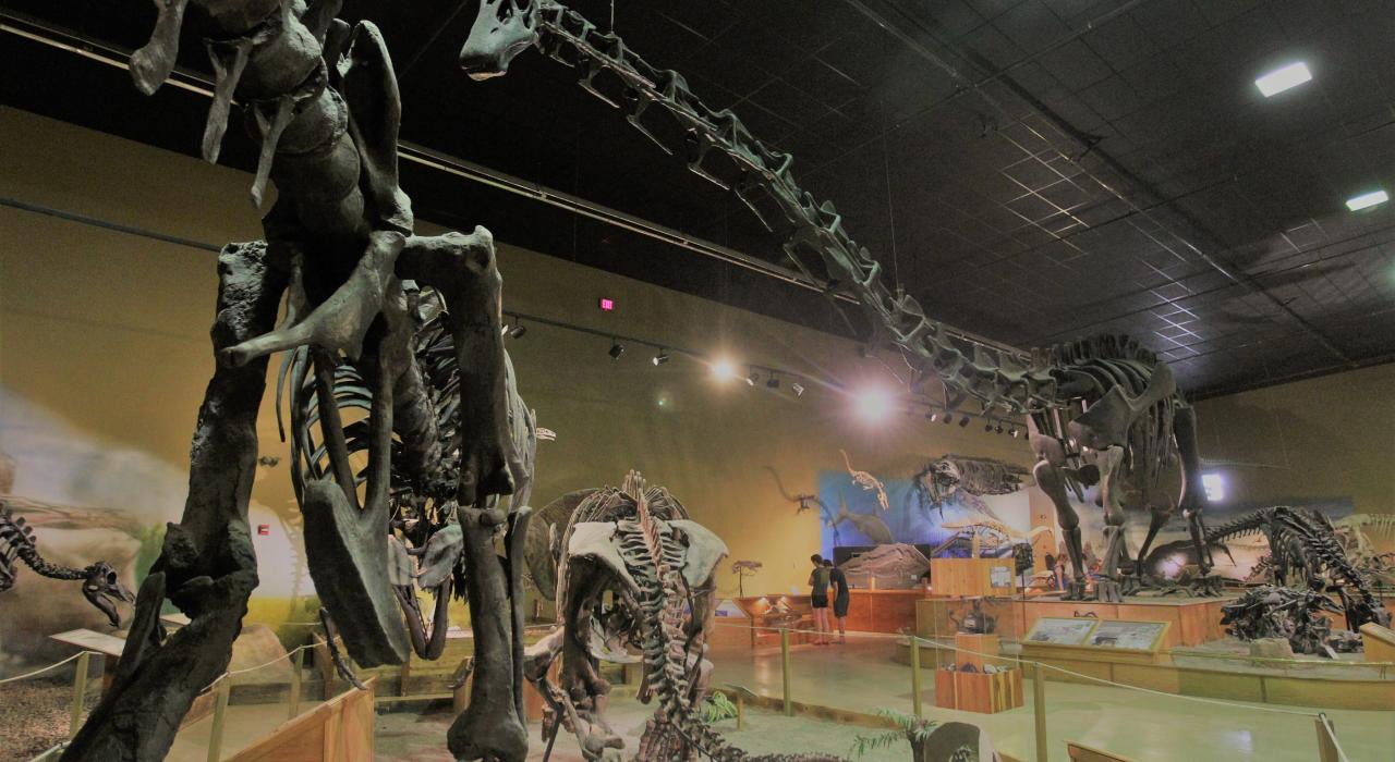 The impressive exhibits of the Wyoming Dinosaur Center in Thermopolis, Wyoming