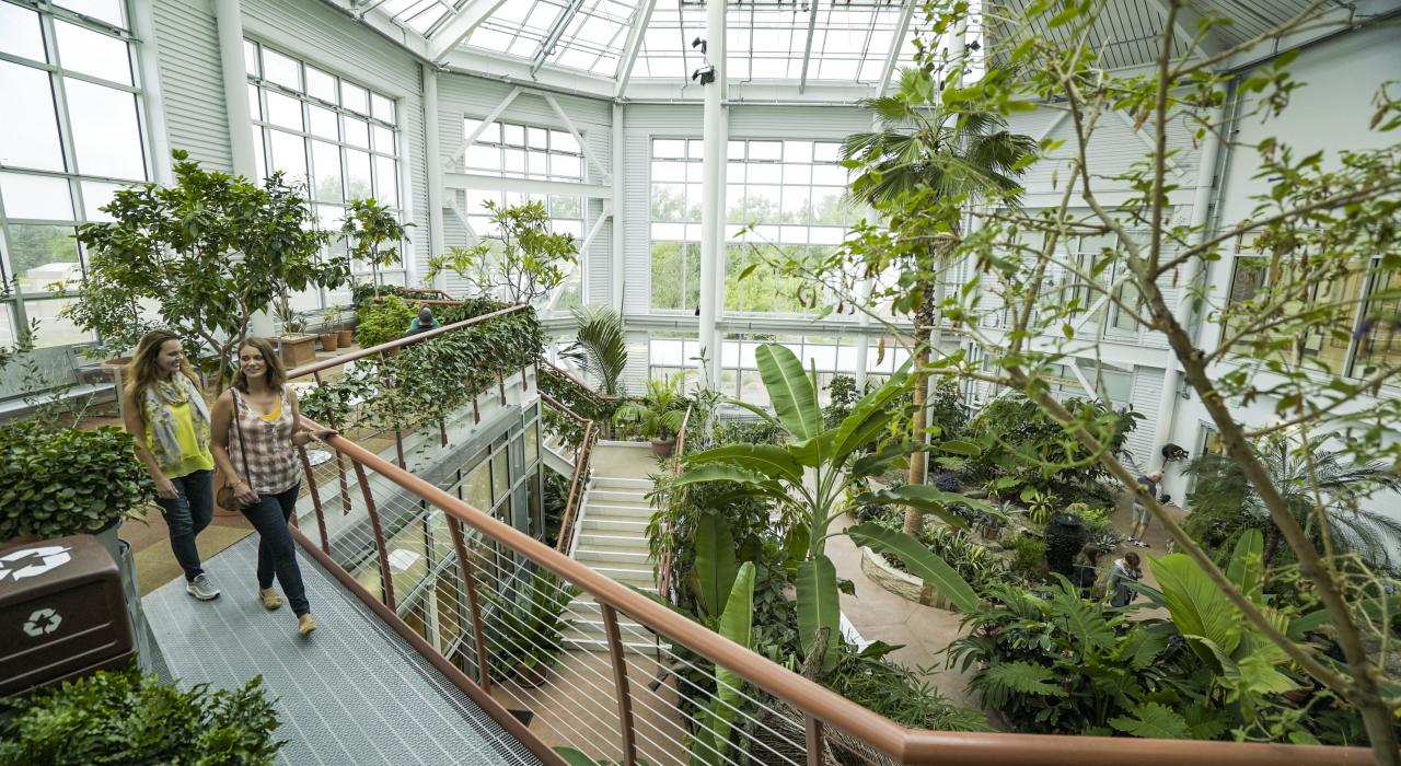 Touring the Cheyenne Botanic Gardens’ atrium