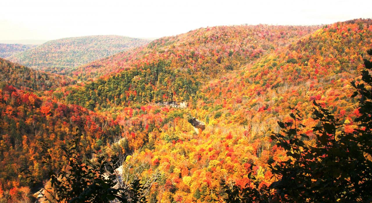 Follaje otoñal en las Endless Mountains de Pensilvania