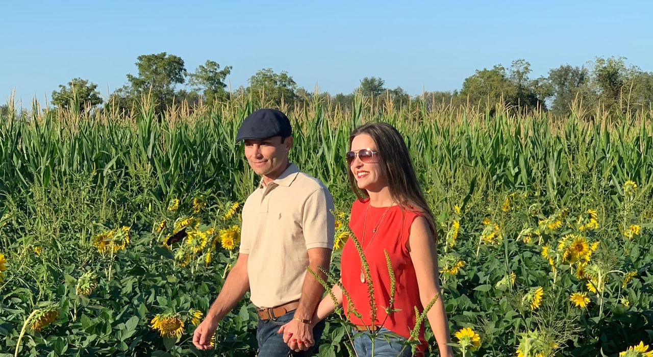 Paseo romántico por los campos de girasoles en Reid's Orchard
