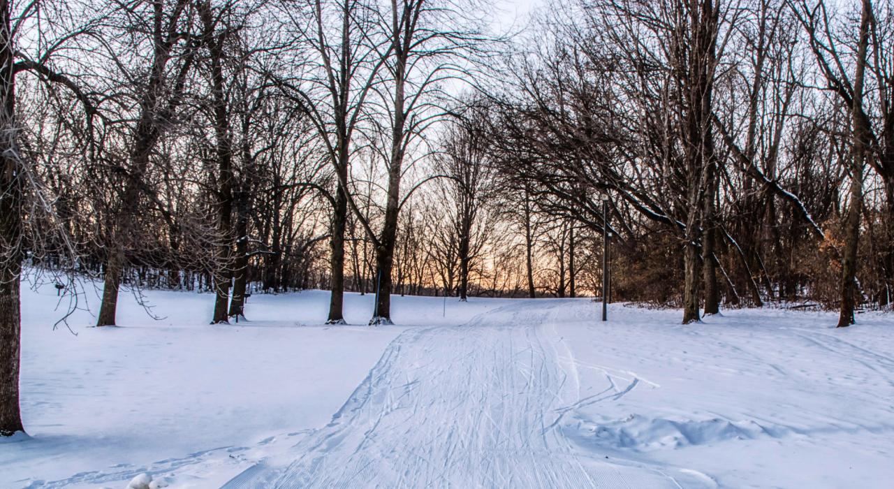 Cross-country skiing trail at Hyland Lake Park Reserve