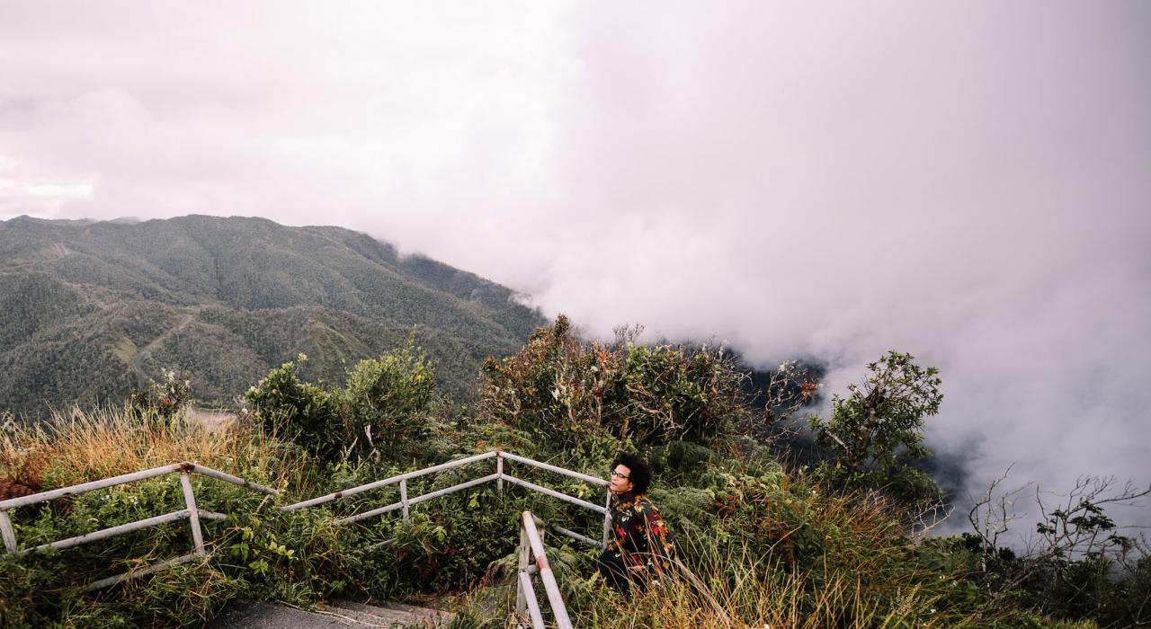 푸에르토리코 하유야의 토로 네그로 주유림에서 즐기는 하이킹